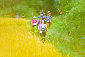 BIB: 
                            <button type="button" onclick="openModal(13455737)" class="btn btn-primary btn-sm float-right btn-popup" data-toggle="modal" data-target=".modal-high-quality">
                        <i class="fas fa-shopping-cart"></i> Add to Cart
                    </button>
                                            <button type="button" onclick="isThisMe(13455737, true)" class="btn btn-success btn-sm float-right btn-popup btn-isme hidden" data-toggle="tooltip" data-placement="bottom" title="นี่คือรูปของคุณใช่ไหม คลิกที่นี่เพื่อเอาเข้าอัลบั้ม">
                        <i class="fas fa-plus"></i> Add to album
                    </button>
                    <button type="button" onclick="isThisMe(13455737, false)" class="btn btn-warning btn-sm float-right btn-popup btn-isnotme hidden">
                        <i class="fas fa-ban"></i> Remove from album
                    </button>